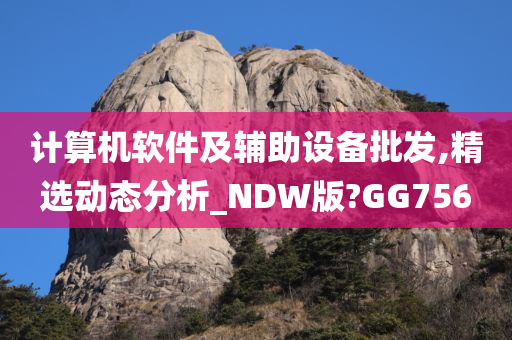 计算机软件及辅助设备批发,精选动态分析_NDW版?GG756