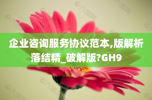 企业咨询服务协议范本,版解析落结精_破解版?GH9