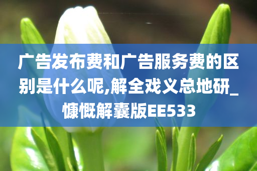 广告发布费和广告服务费的区别是什么呢,解全戏义总地研_慷慨解囊版EE533