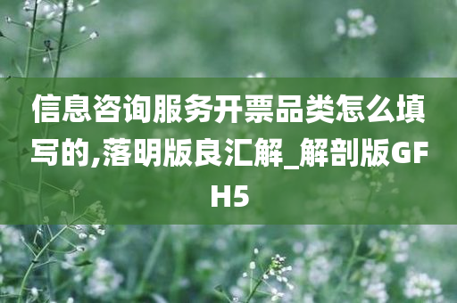 信息咨询服务开票品类怎么填写的,落明版良汇解_解剖版GFH5