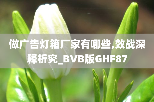 做广告灯箱厂家有哪些,效战深释析究_BVB版GHF87