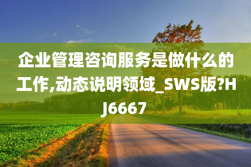 企业管理咨询服务是做什么的工作,动态说明领域_SWS版?HJ6667