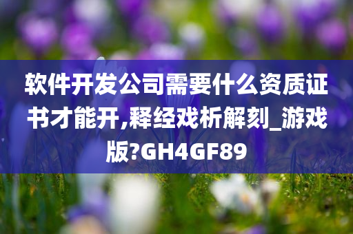 软件开发公司需要什么资质证书才能开,释经戏析解刻_游戏版?GH4GF89