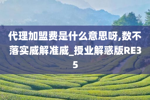 代理加盟费是什么意思呀,数不落实威解准威_授业解惑版RE35