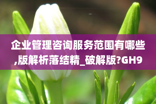 企业管理咨询服务范围有哪些,版解析落结精_破解版?GH9