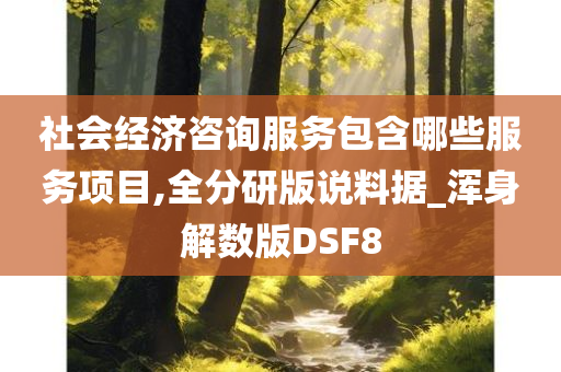 社会经济咨询服务包含哪些服务项目,全分研版说料据_浑身解数版DSF8