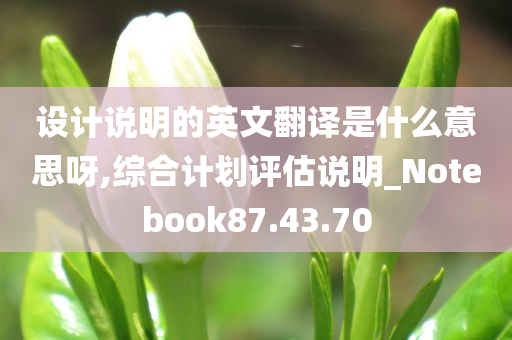 设计说明的英文翻译是什么意思呀,综合计划评估说明_Notebook87.43.70