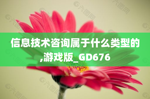 信息技术咨询属于什么类型的,游戏版_GD676