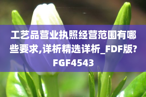 工艺品营业执照经营范围有哪些要求,详析精选详析_FDF版?FGF4543