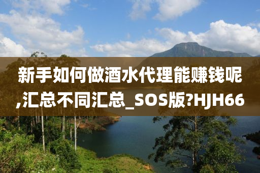 新手如何做酒水代理能赚钱呢,汇总不同汇总_SOS版?HJH66