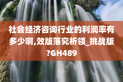 社会经济咨询行业的利润率有多少啊,效版落究析领_挑战版?GH489