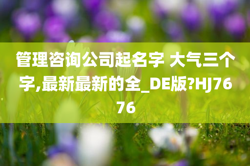 管理咨询公司起名字 大气三个字,最新最新的全_DE版?HJ7676