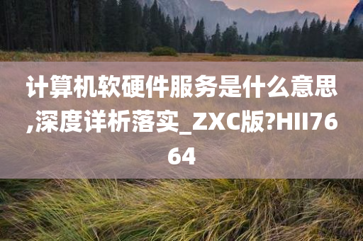 计算机软硬件服务是什么意思,深度详析落实_ZXC版?HII7664