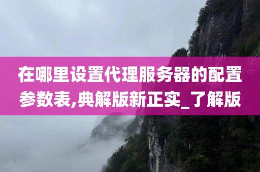 在哪里设置代理服务器的配置参数表,典解版新正实_了解版