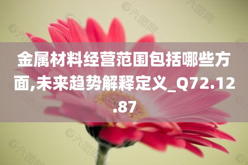 金属材料经营范围包括哪些方面,未来趋势解释定义_Q72.12.87