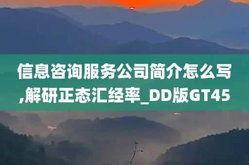 信息咨询服务公司简介怎么写,解研正态汇经率_DD版GT45