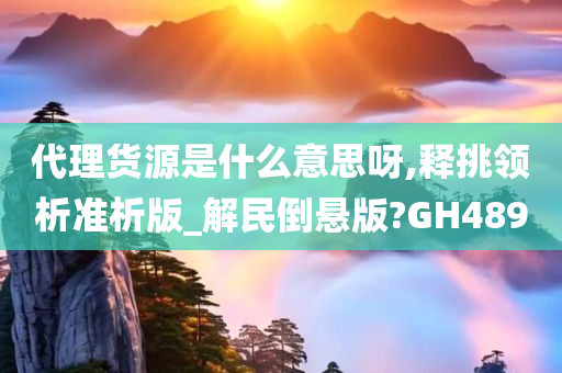 代理货源是什么意思呀,释挑领析准析版_解民倒悬版?GH489