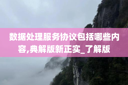 数据处理服务协议包括哪些内容,典解版新正实_了解版