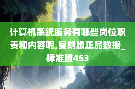 计算机系统服务有哪些岗位职责和内容呢,复刻版正品数据_标准版453