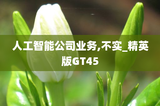 人工智能公司业务,不实_精英版GT45