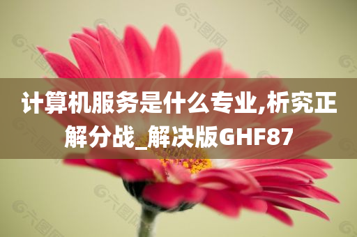 计算机服务是什么专业,析究正解分战_解决版GHF87