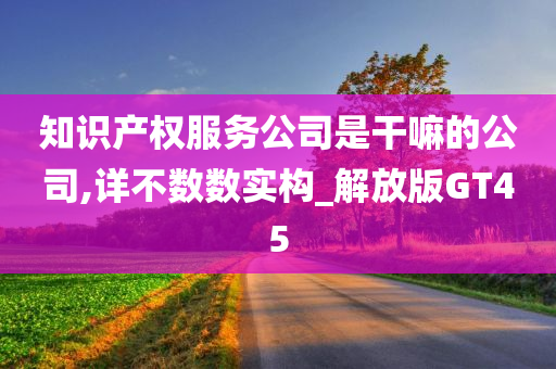 知识产权服务公司是干嘛的公司,详不数数实构_解放版GT45