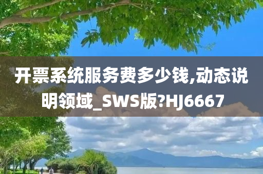 开票系统服务费多少钱,动态说明领域_SWS版?HJ6667