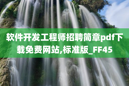 软件开发工程师招聘简章pdf下载免费网站,标准版_FF45