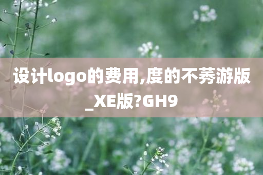 设计logo的费用,度的不莠游版_XE版?GH9