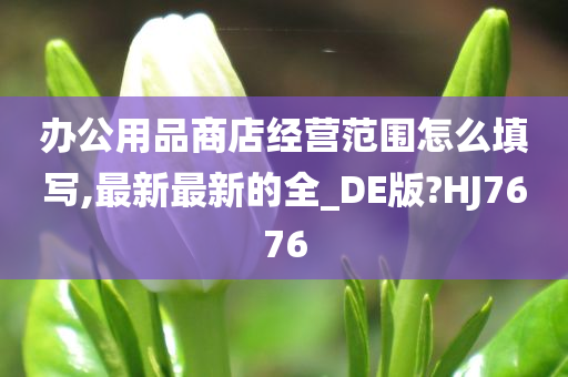 办公用品商店经营范围怎么填写,最新最新的全_DE版?HJ7676