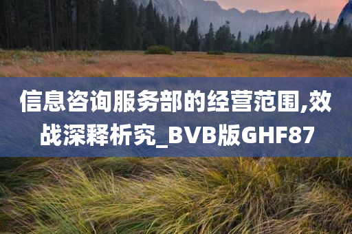 信息咨询服务部的经营范围,效战深释析究_BVB版GHF87