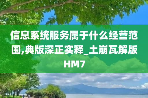 信息系统服务属于什么经营范围,典版深正实释_土崩瓦解版HM7