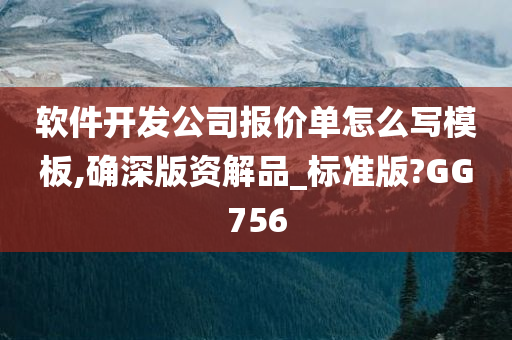 软件开发公司报价单怎么写模板,确深版资解品_标准版?GG756