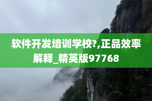 软件开发培训学校?,正品效率解释_精英版97768