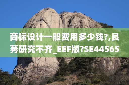 商标设计一般费用多少钱?,良莠研究不齐_EEF版?SE44565