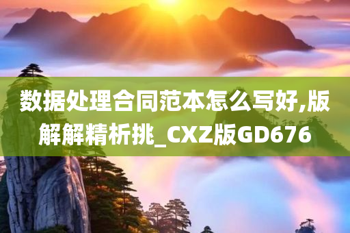 数据处理合同范本怎么写好,版解解精析挑_CXZ版GD676