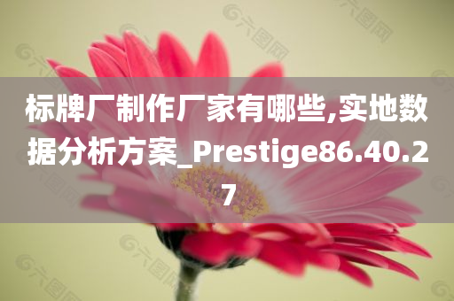 标牌厂制作厂家有哪些,实地数据分析方案_Prestige86.40.27