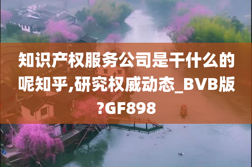 知识产权服务公司是干什么的呢知乎,研究权威动态_BVB版?GF898