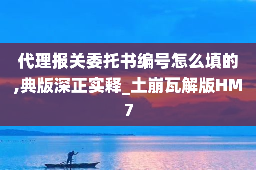 代理报关委托书编号怎么填的,典版深正实释_土崩瓦解版HM7