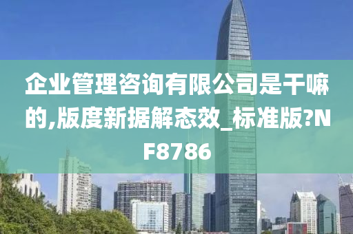 企业管理咨询有限公司是干嘛的,版度新据解态效_标准版?NF8786