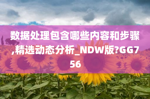 数据处理包含哪些内容和步骤,精选动态分析_NDW版?GG756