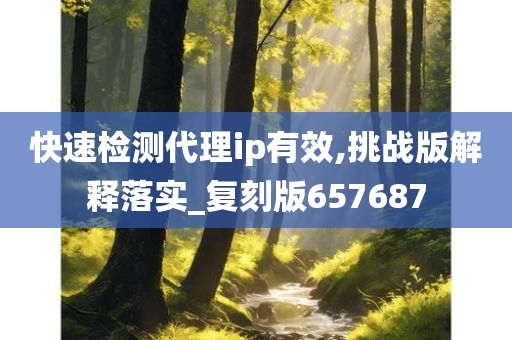 快速检测代理ip有效,挑战版解释落实_复刻版657687