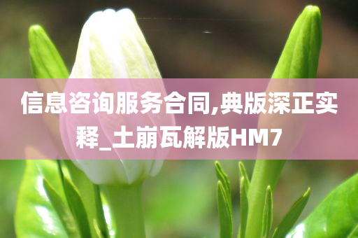 信息咨询服务合同,典版深正实释_土崩瓦解版HM7