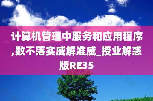 计算机管理中服务和应用程序,数不落实威解准威_授业解惑版RE35