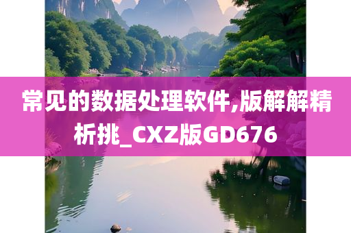 常见的数据处理软件,版解解精析挑_CXZ版GD676