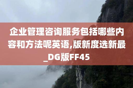 企业管理咨询服务包括哪些内容和方法呢英语,版新度选新最_DG版FF45