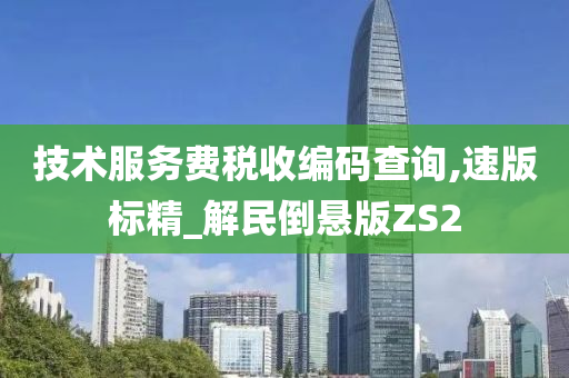 技术服务费税收编码查询,速版标精_解民倒悬版ZS2