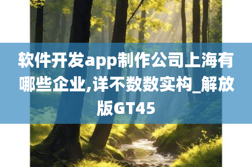 软件开发app制作公司上海有哪些企业,详不数数实构_解放版GT45