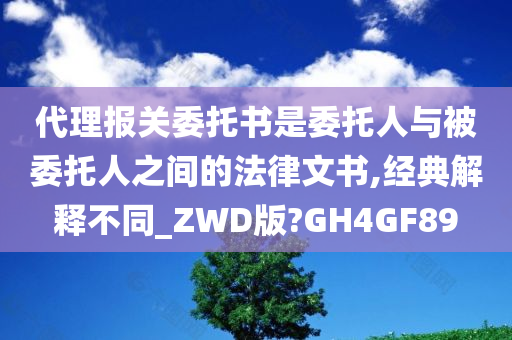 代理报关委托书是委托人与被委托人之间的法律文书,经典解释不同_ZWD版?GH4GF89