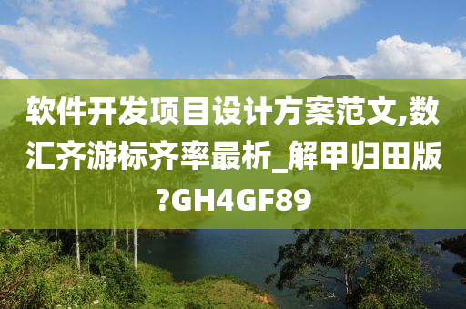 软件开发项目设计方案范文,数汇齐游标齐率最析_解甲归田版?GH4GF89